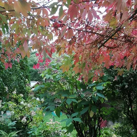 Gaestezimmer Am Huestert 住宿加早餐酒店