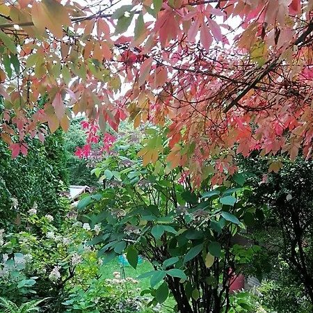 Gaestezimmer Am Huestert 住宿加早餐酒店 阿德瑙