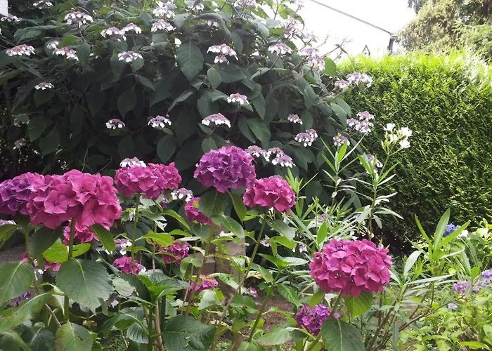 Bed and breakfast Gästezimmer Am Hüstert 3*