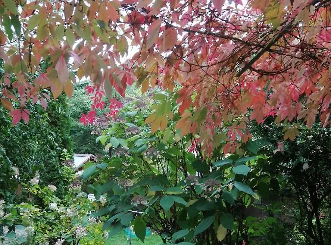 Gästezimmer Am Hüstert Bed and breakfast